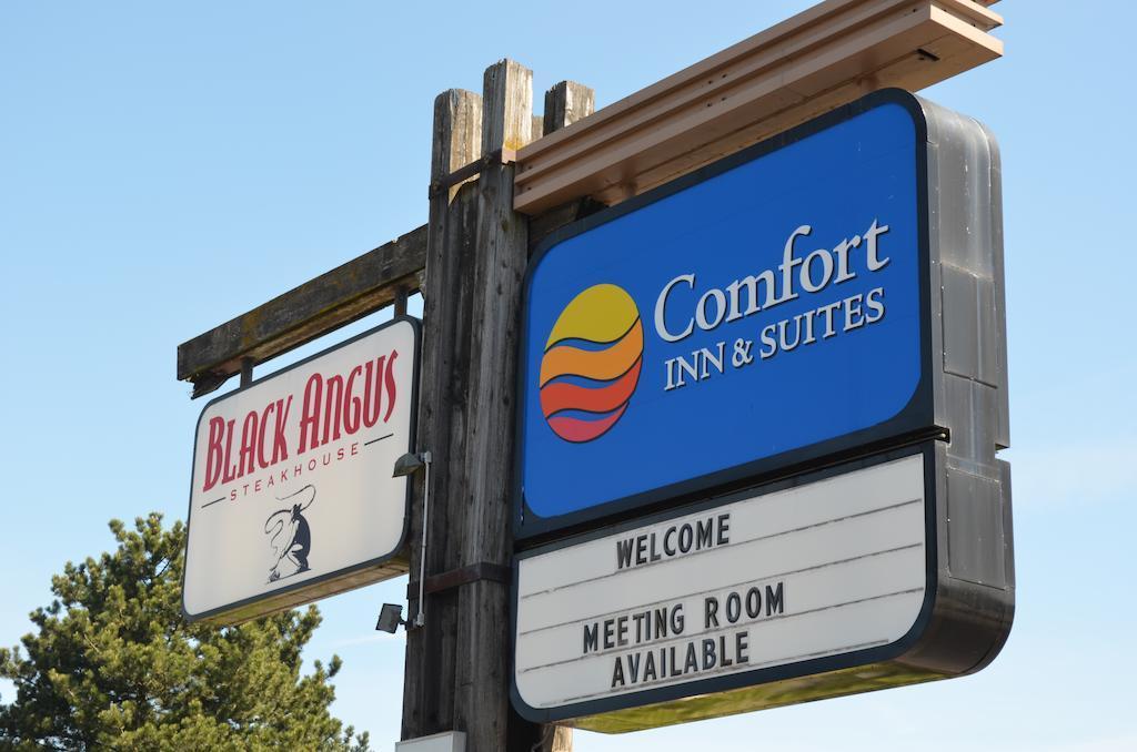 Comfort Inn & Suites Vancouver Downtown City Center Eksteriør billede