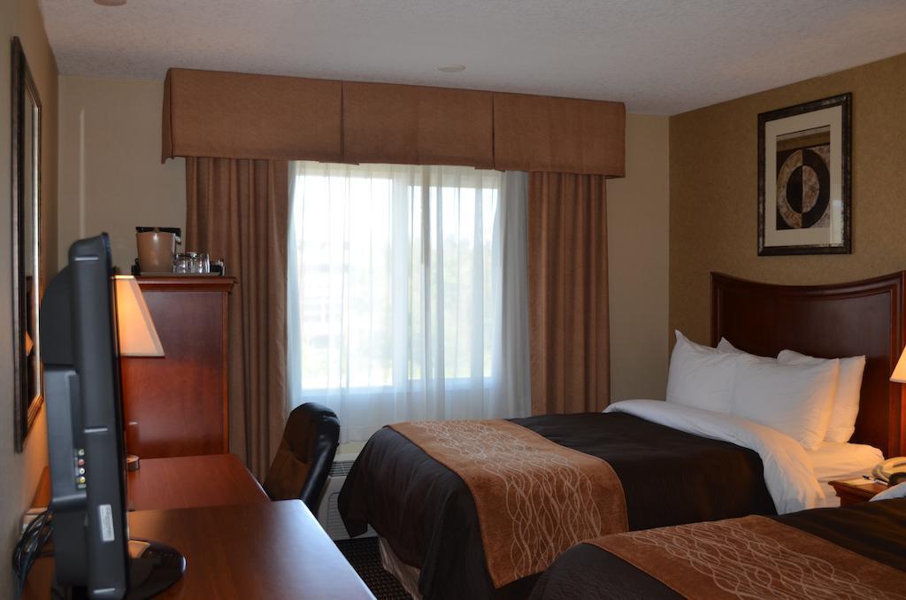 Comfort Inn & Suites Vancouver Downtown City Center Eksteriør billede