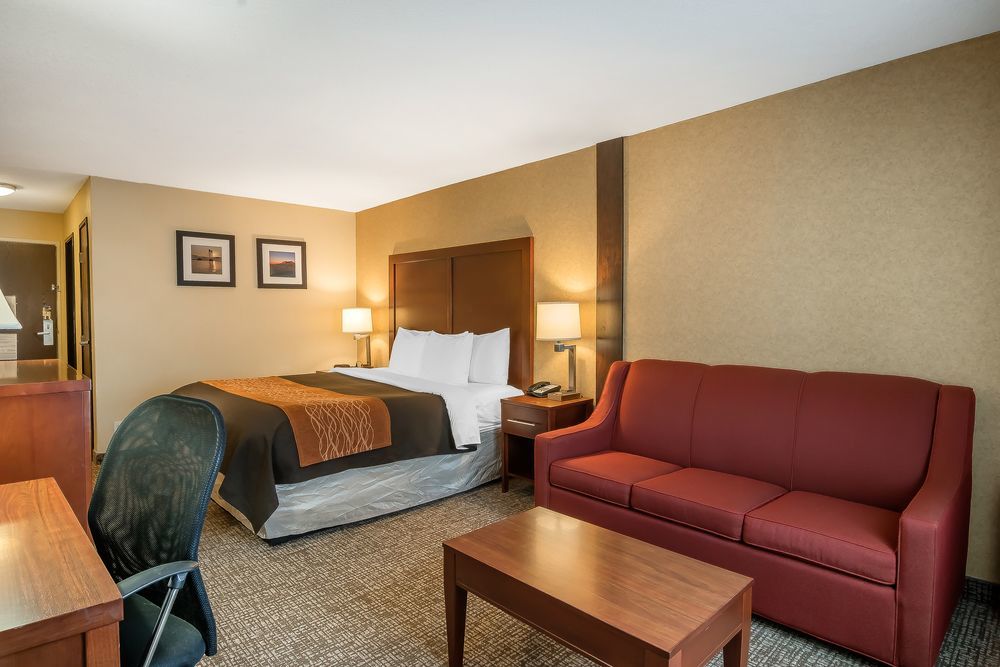 Comfort Inn & Suites Vancouver Downtown City Center Eksteriør billede
